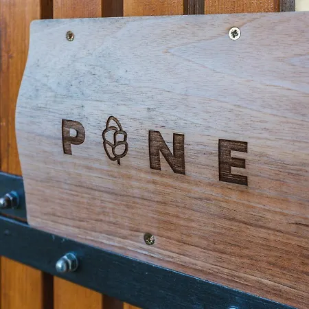 Maple & Pine Bled
